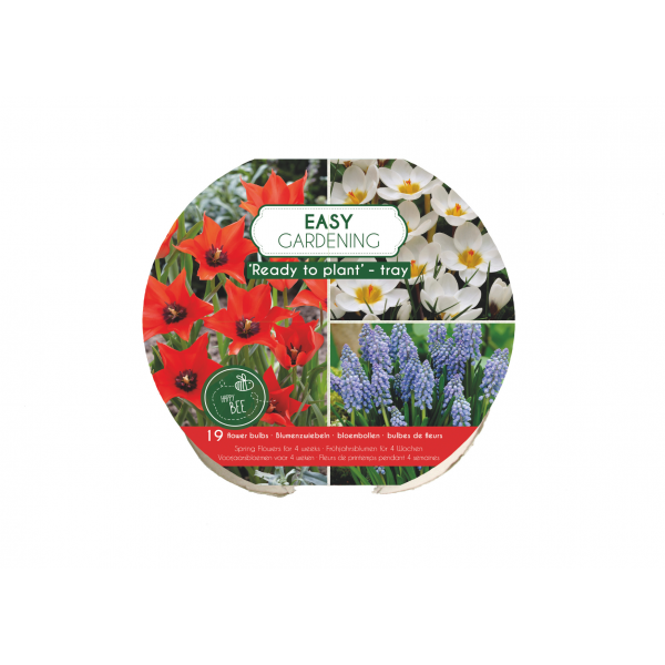 Flower bulb set for easy planting Happy Bee 19 pcs.
