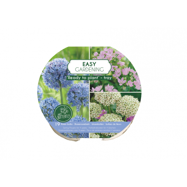 Flower bulb set for easy planting Happy Butterfly 19 pcs.