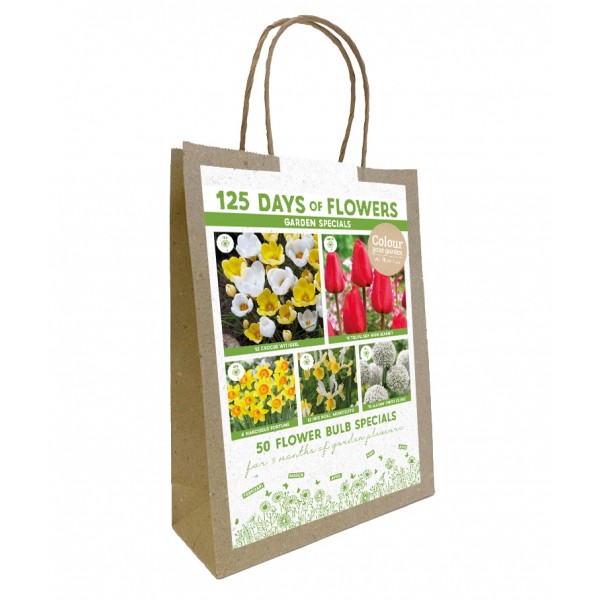 Flower bulb set yellow/red 50 pcs.