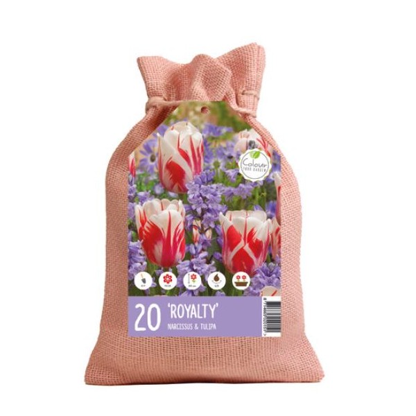 Flower bulb set royal 20 pcs.