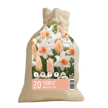Flower bulb set GENTLE 20 pcs.