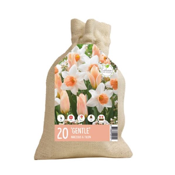 Flower bulb set delicacy 20 pcs.