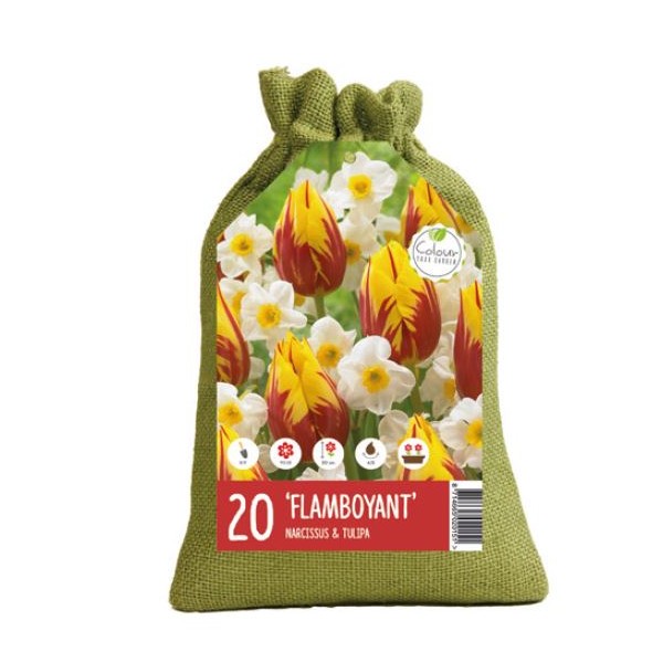 Flower bulb set brightness 20 sv.