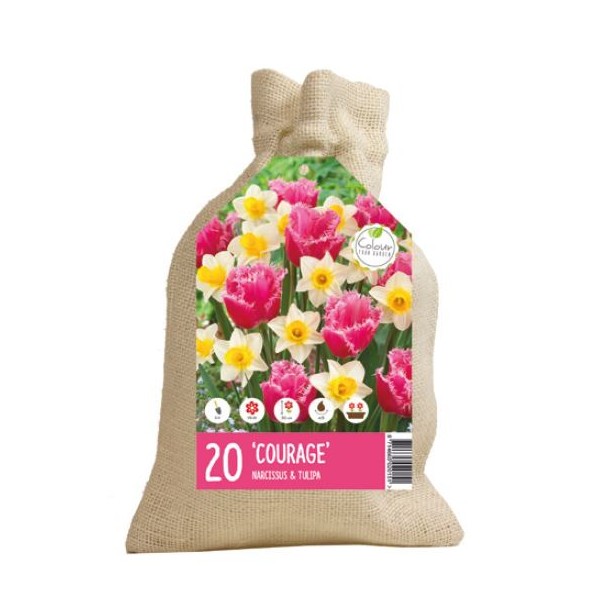 Flower bulb set courage 20 pcs.