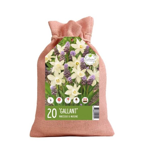 Flower bulb set gallant 20 pcs.
