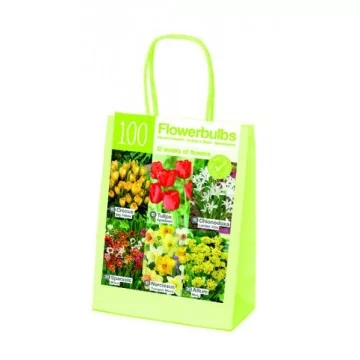 Flower bulb set XL 100 pcs.
