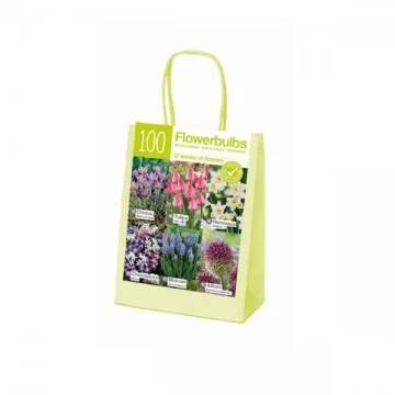Flower bulb set XL 100 pcs.