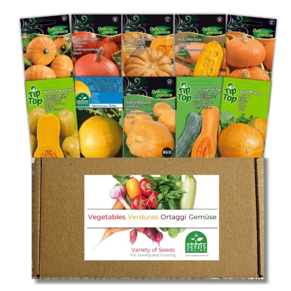 Pumpkin seed set, 10 pcs.