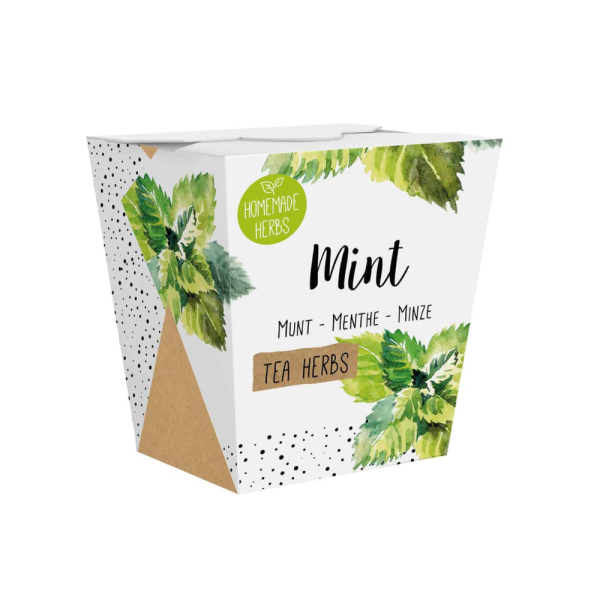 Mint Growing Kit