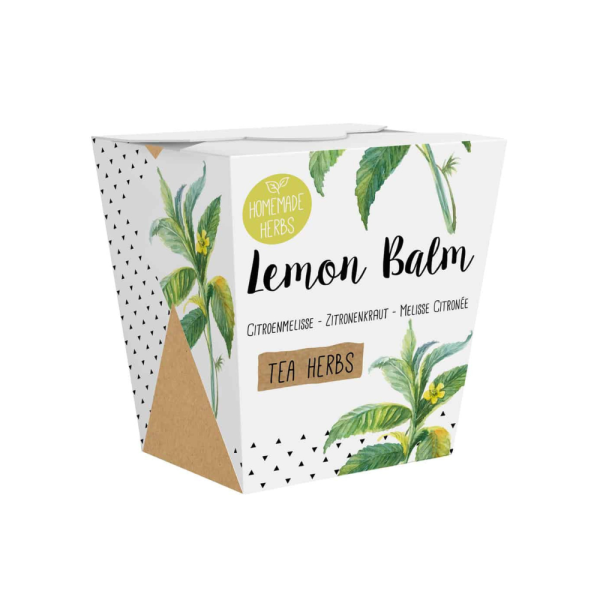 Lemon Balm Growing Kit