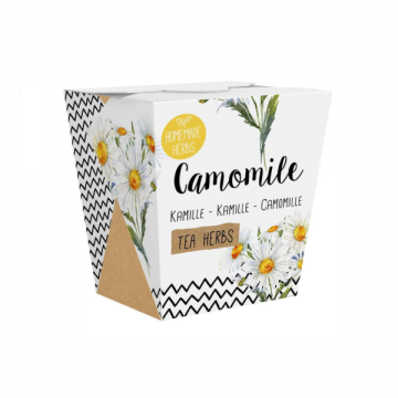 Ramunėlių auginimo rinkinys