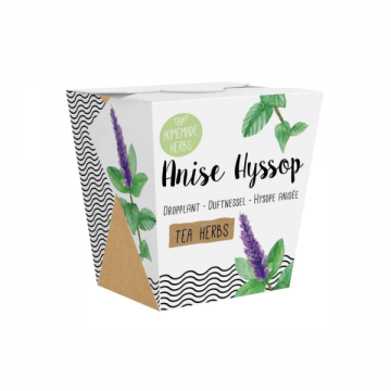 Anisiisopin kasvatussetti