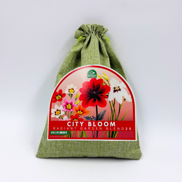 Kukkasipulisekoitus City Bloom Radiant Garden Blend 25 kpl