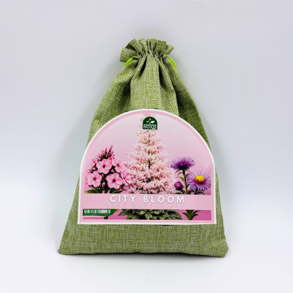 Monivuotisten kukkien sekoitus City Bloom Soft Pastel Mix 3 kpl