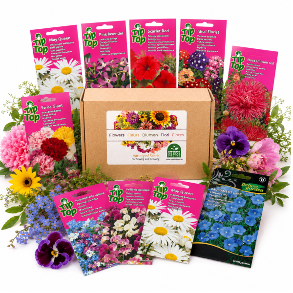”Oma niittyni” -siemenkokoelma – 30 kukkalajiketta