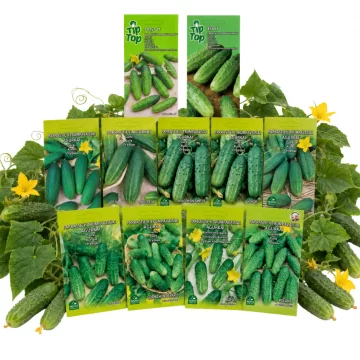 Seed set Cucumbers MIDI 10...