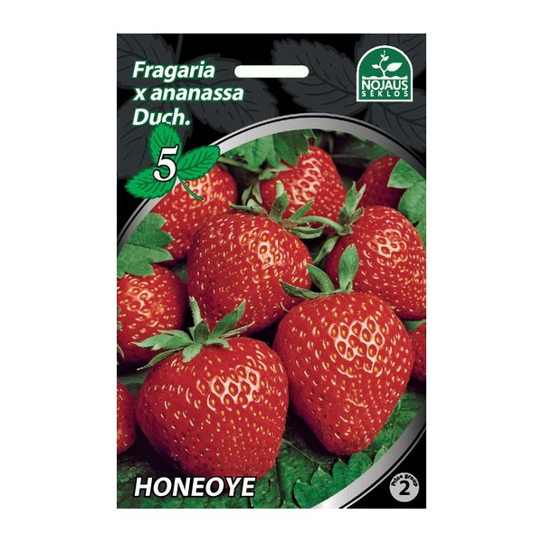 BRAŠKĖS FRIGO Honeoye A+ (10 vnt.)