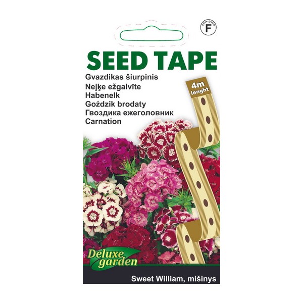 Seeds on tape, Dianthus SWEET WILLIAM (mix)