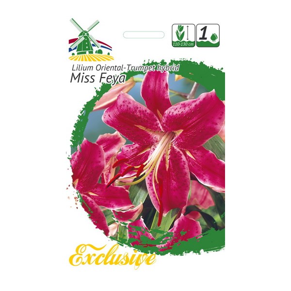 EXCLUSIVE LILIES MISS FEYA 1pc