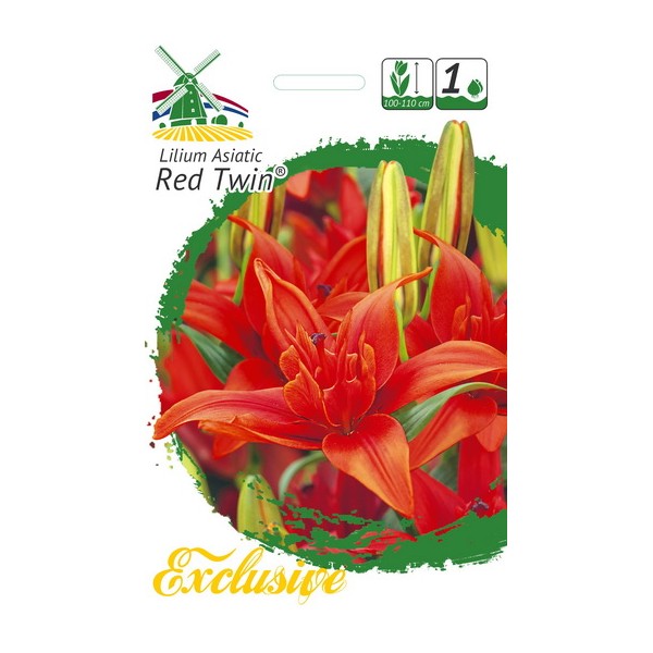 EXCLUSIVE LILJAT RED TWIN