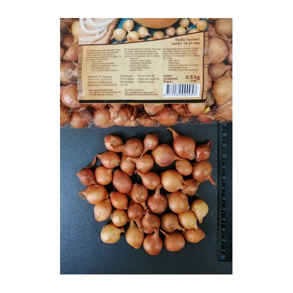 STUTTGARTER RIESEN 14/21 LATE ONION SEEDLINGS, (0.5 kg)