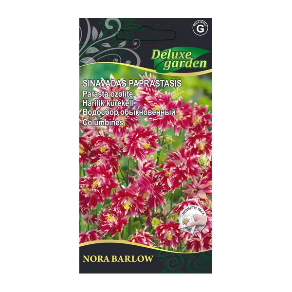 Aquilegia vulgaris NORA BARLOW 20 seeds
