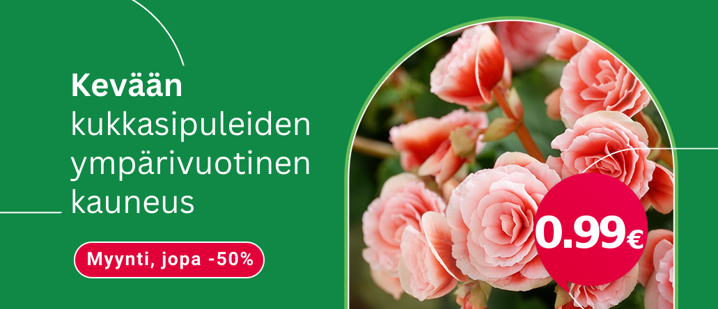 Svogūninės 0,99 EN/FI