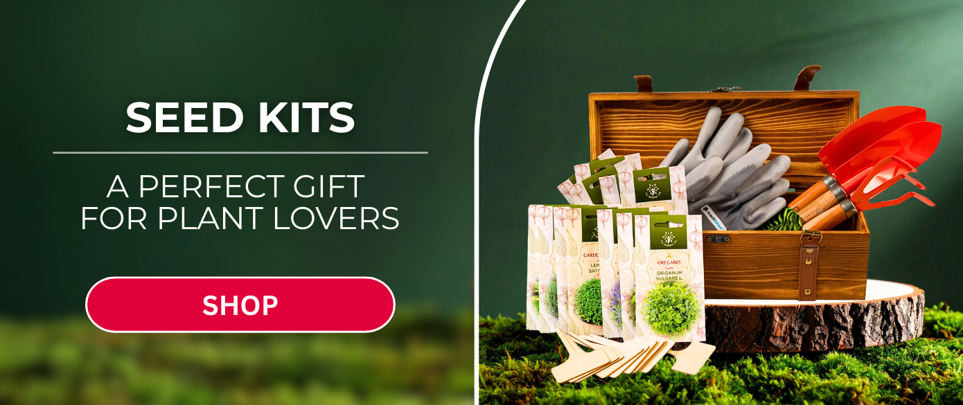 Sėklų rinkiniai EN/FI