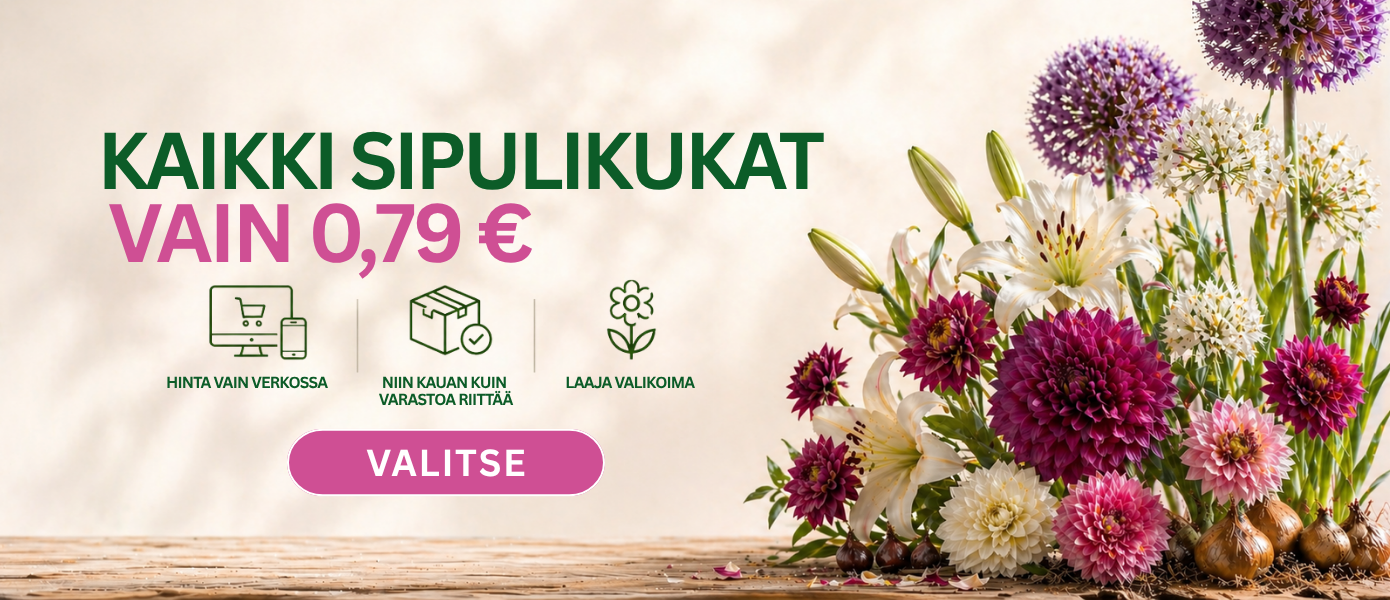 Svogūninės 0,79€ EN/FI